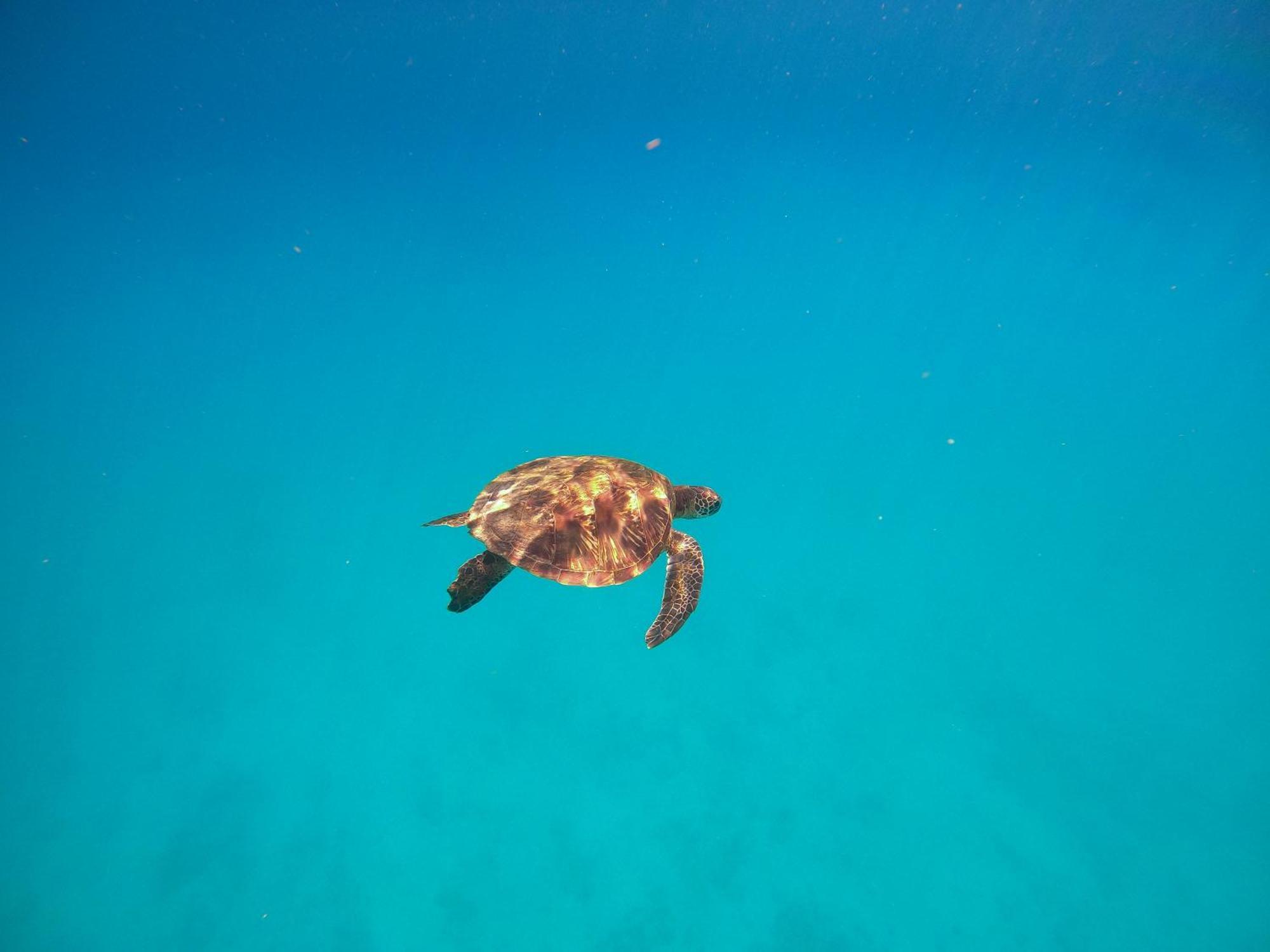 Slow Island Hostel 緑島郷 エクステリア 写真